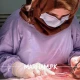 General Practitioner in Faisalabad - Dr. Hadia Nadeem