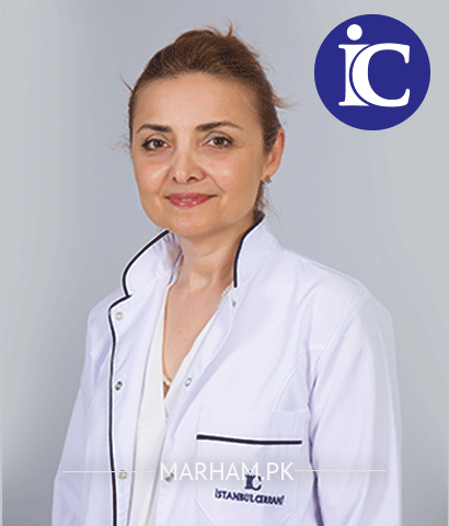 Gallery Image of Dr. Berrin Toksu